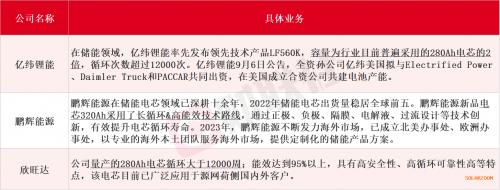 中國儲能企業出海"攻略": A股磷酸鐵鋰廠商扛大旗 國產電芯接連斬獲大單