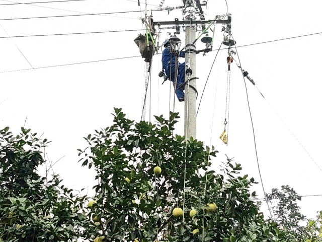 四川自貢：農網升級改造 鄉村振興電力足