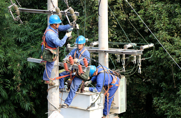 國網宜賓供電公司完成1.3億元農網工程投資 助力鄉村振興