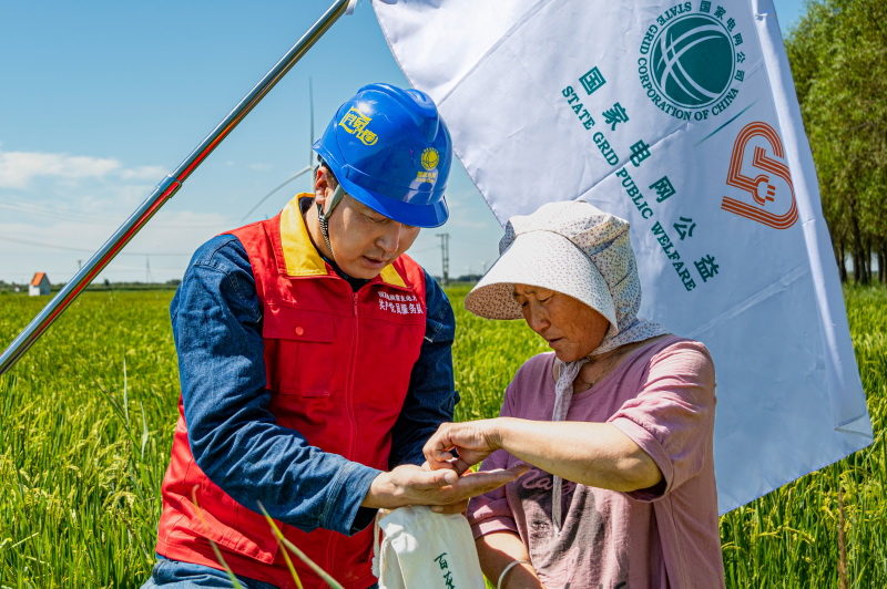 國網蒙東電力公司案例亮相聯合國氣候、生物多樣性大會